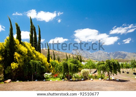 landscape in Robertson, Western Cape, South Africa