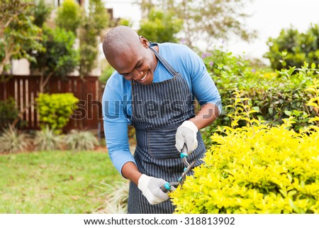 happy african american man trimming plants at home garden