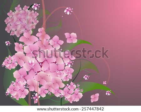 vector background with flowers pink hydrangea design for holidays, celebrations, weddings, love, spring
