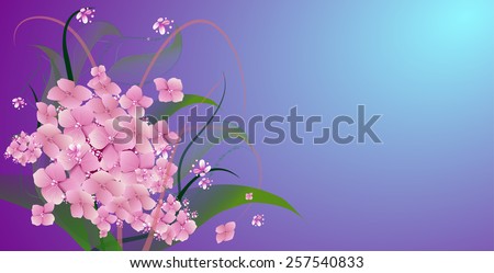 vector background with flowers pink hydrangea design for holidays, celebrations, weddings, love, spring