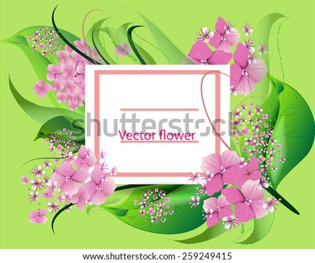 vector background with flowers pink hydrangea design for holidays, celebrations, weddings.