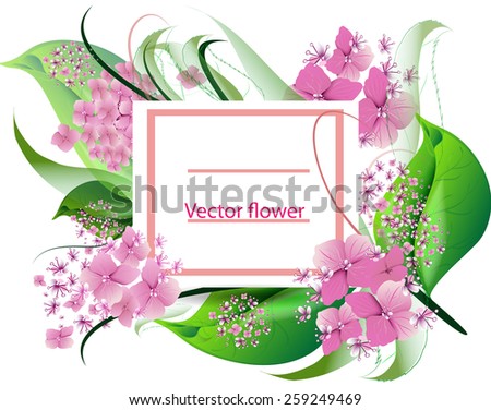 vector background with flowers pink hydrangea design for holidays, celebrations, weddings.