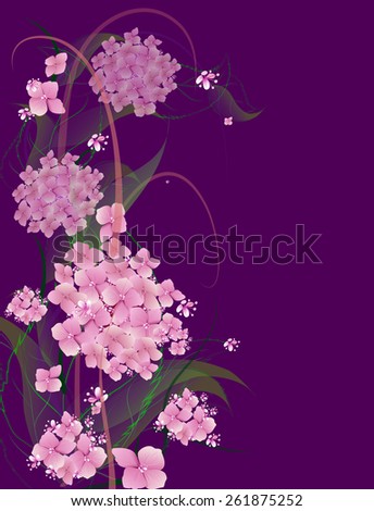 background with flowers pink hydrangea design for holidays, celebrations, weddings.