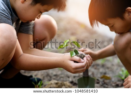 Selective focus at young and little plant seedling that take care and put in a dry soil to grow it. Earth day concept.