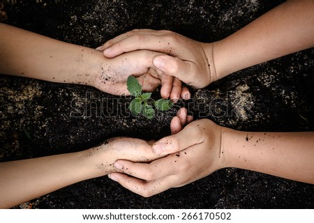 Seedling of young plant and soil in child hand