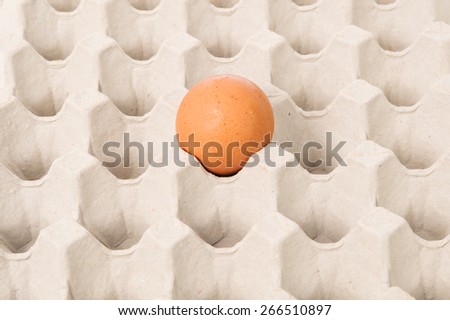 The fresh chicken egg in brown carton