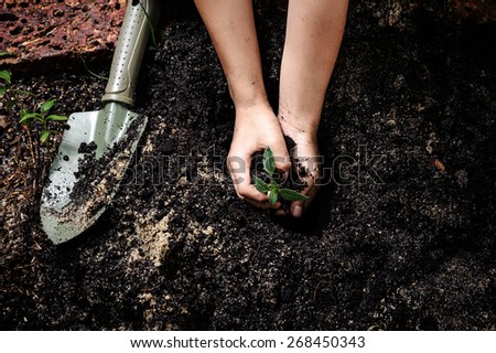 Seedling of young plant and soil in child hand