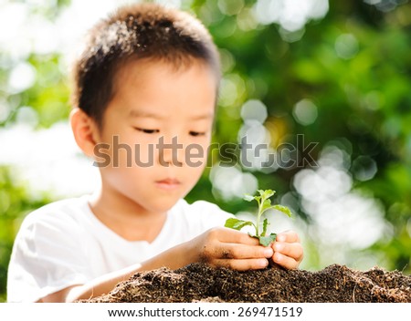 Thin focus on hand of Child holding young plant on green background to plant on soil. Concept Earth day.