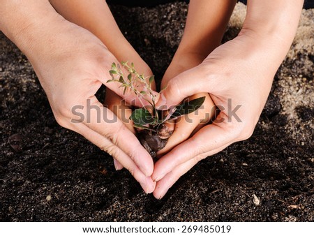 Boy holding young plant in hands on white background to plant on soil.