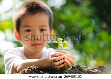 Thin focus on Hand child holding young plant on green background to plant on soil. Concept Earth day