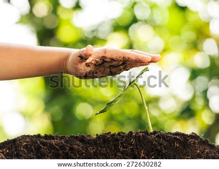 Young boy hand protect green plant growing on soil with green bokeh
