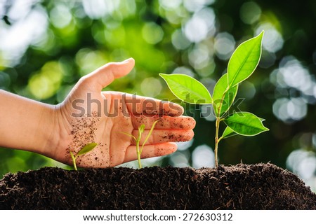 Hand protect green plant growing on soil with green bokeh background