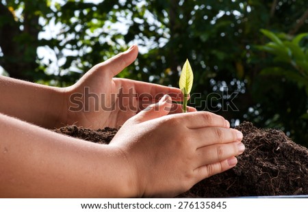 Young boy hand protect green seedling of plant germinate from the black soil