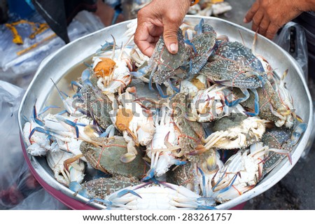Hand grab sea crab from bowl in the market