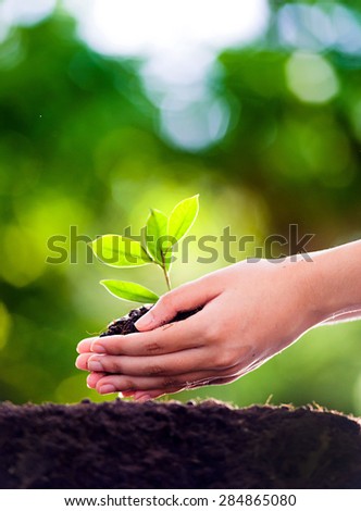 Focus on Young woman hand planting seedling into black soil with green bokeh effect. Earth day concept.