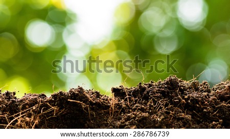 Close up thin focus on brown soil and plant root with green bokeh background