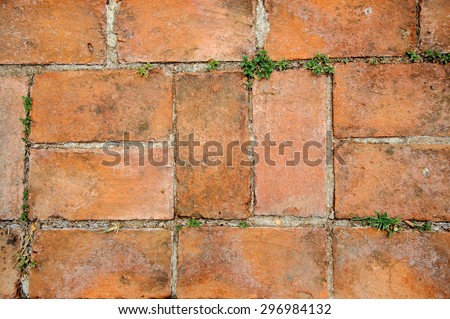 Close up grunge red brick floor at historic public Thai temple background.