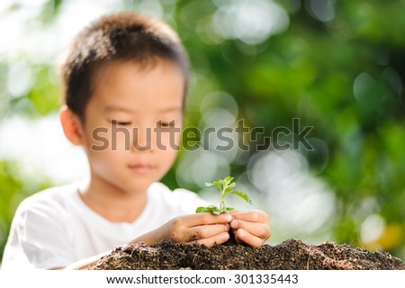 Thin focus at Asian boy hand holding young plant in hands on green background to plant on soil. Concept Earth day