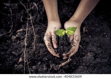 Dark color tone. Selective focus on Little seedling in black soil on child hand. Earth day concept.