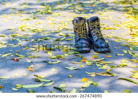 Safety Shoes On the road with leaves