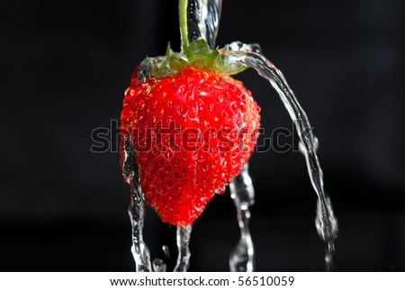 strawberry under the stream of water on a dark background