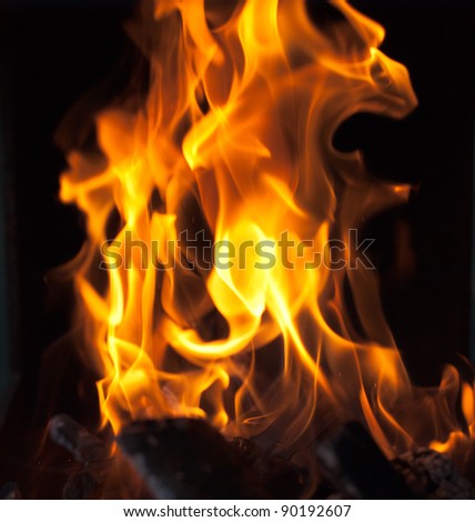 flames from a fire on a black background. picture.