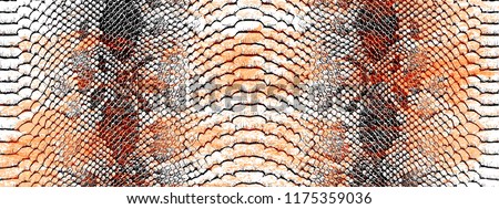 reptile or Snake skin pattern texture.Fashionable print.Fashion and stylish background