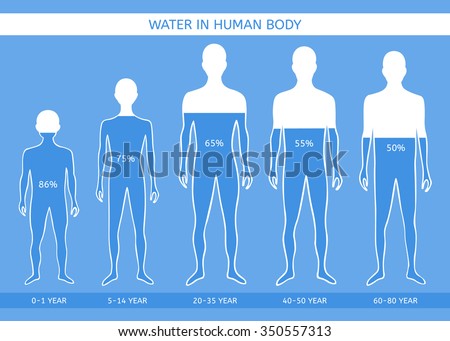 Water in human body. The man at different ages