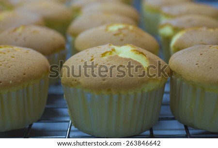 cupcakes on a tray for packing boxes.
