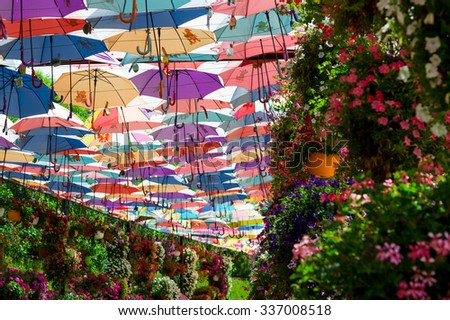 DUBAI, UAE - APRIL 23,2015. Park alley with many flowers . Dubai Miracle Garden in the UAE. United Arab Emirates