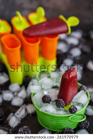 BlackBerry ice cream on a stick, fruit and  berry,a small depth of field.selective focus