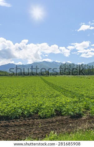 Agriculture landscape Hokkaido Japan