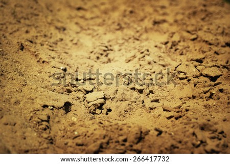 Muddy path background toned photo
