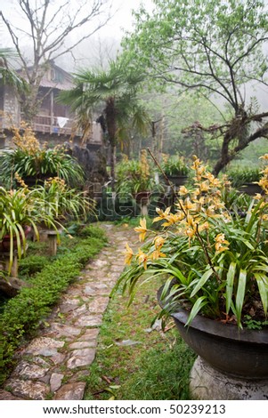 foggy orchid Garden in Sapa - North Vietnam