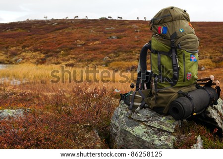 Backpack from a long Distance Hiker in Autumn in Sweden with Reindeers
