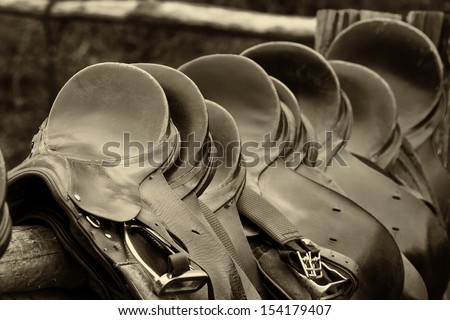 Number Of Of Saddles, Sepia