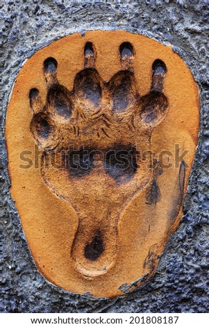 bear paw print front
