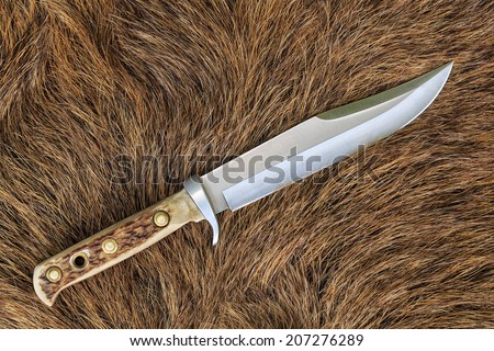 bowie knife with handle made from deer antler on the fur of wild boar