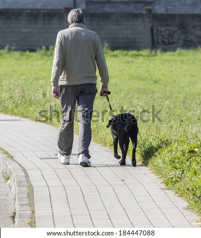 Old man walking with dog in the city