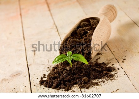 photo of a shovel with earth and basil inside on wooden table