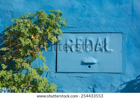 A wall with postal box in blue color and a small tree