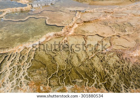 Cracked ground full of sulfer and water steam from Mammoth Spring in Yellowstone National Park, Wyoming