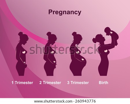 Pregnancy stages, trimesters and birth, pregnant woman and baby on pink background