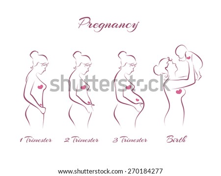 Pregnancy stages, trimesters and birth, pregnant woman and baby on white background