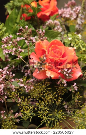 scarlet rose, garden flowers, flower arrangements, flowers autumn garden, autumn flowers, cozy house