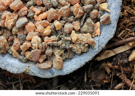 Myrrh tears (myrrhae gummi from kenia) in tears in a stone bowl with a forest soil (bark mulch, leafs) background