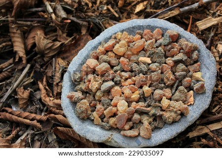 Myrrh tears (myrrhae gummi from kenia) in tears in a stone bowl with a forest soil (bark mulch, leafs) background