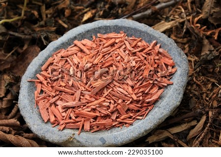 Red Sandalwood chips cut (santali rubri from Gabun) in a stone bowl with a forest soil (bark mulch, leafs) background