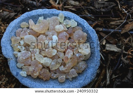 Arabic Gum Resin (gummi arabicum) Incense in tears in a stone bowl with a forest soil (bark mulch, leafs) background. Origins from Sudan. Closeup.