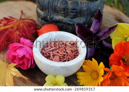 Red Sandalwood chips cut (santali rubri from Gabun) in a stone bowl ritual offering to the indian elephant god ganesha with different fall / autumn flowers and leaves (rose, calendula) vivid colors